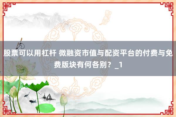 股票可以用杠杆 微融资市值与配资平台的付费与免费版块有何各别？_1