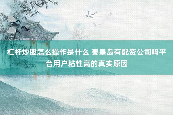 杠杆炒股怎么操作是什么 秦皇岛有配资公司吗平台用户粘性高的真实原因