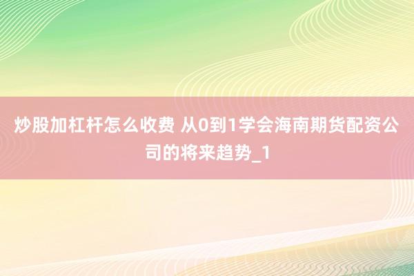 炒股加杠杆怎么收费 从0到1学会海南期货配资公司的将来趋势_1