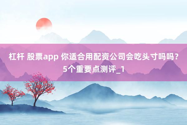 杠杆 股票app 你适合用配资公司会吃头寸吗吗？5个重要点测评_1