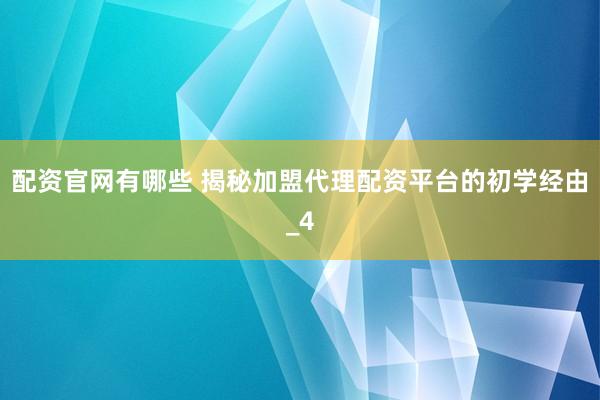 配资官网有哪些 揭秘加盟代理配资平台的初学经由_4