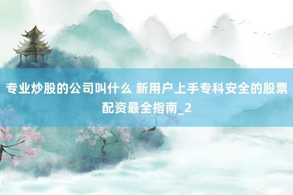 专业炒股的公司叫什么 新用户上手专科安全的股票配资最全指南_2
