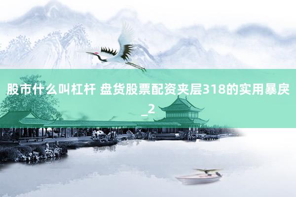 股市什么叫杠杆 盘货股票配资夹层318的实用暴戾_2