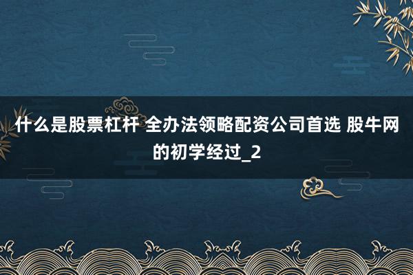 什么是股票杠杆 全办法领略配资公司首选 股牛网的初学经过_2
