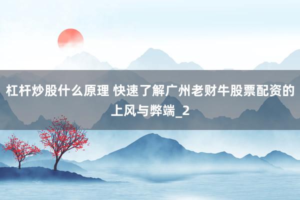 杠杆炒股什么原理 快速了解广州老财牛股票配资的上风与弊端_2