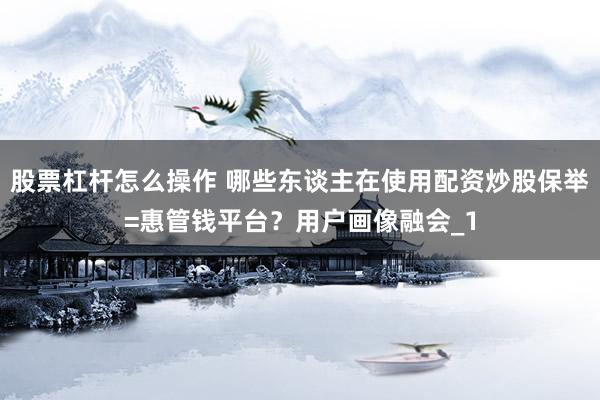 股票杠杆怎么操作 哪些东谈主在使用配资炒股保举=惠管钱平台？用户画像融会_1