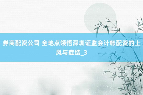 券商配资公司 全地点领悟深圳证监会计帐配资的上风与症结_3
