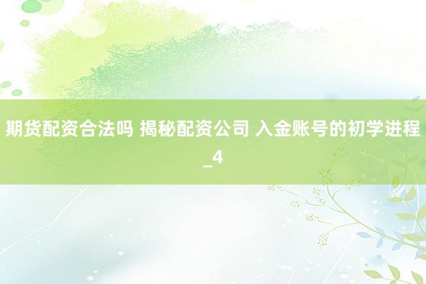 期货配资合法吗 揭秘配资公司 入金账号的初学进程_4