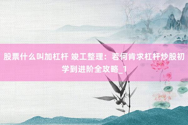 股票什么叫加杠杆 竣工整理：若何肯求杠杆炒股初学到进阶全攻略_1