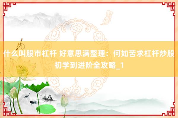 什么叫股市杠杆 好意思满整理：何如苦求杠杆炒股初学到进阶全攻略_1