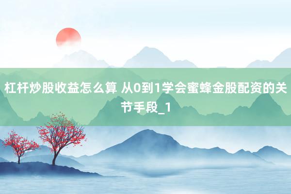 杠杆炒股收益怎么算 从0到1学会蜜蜂金股配资的关节手段_1