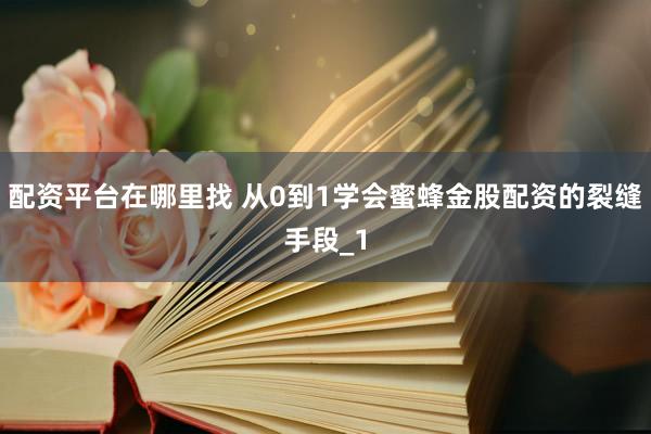 配资平台在哪里找 从0到1学会蜜蜂金股配资的裂缝手段_1