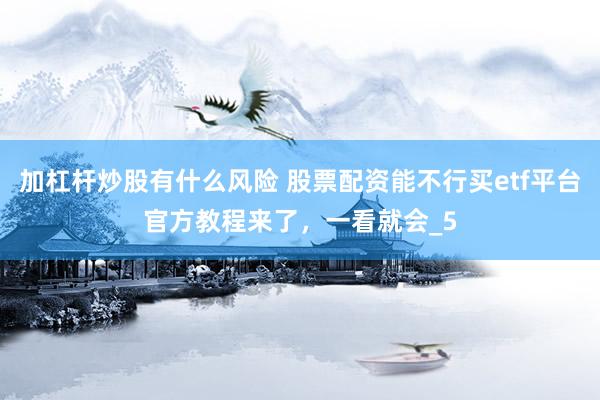 加杠杆炒股有什么风险 股票配资能不行买etf平台官方教程来了，一看就会_5