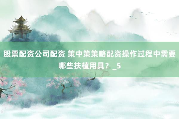 股票配资公司配资 策中策策略配资操作过程中需要哪些扶植用具？_5