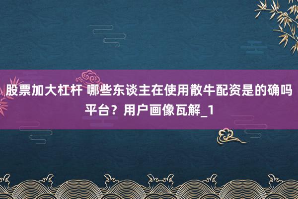 股票加大杠杆 哪些东谈主在使用散牛配资是的确吗平台？用户画像瓦解_1