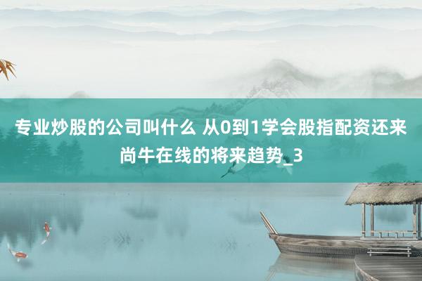 专业炒股的公司叫什么 从0到1学会股指配资还来尚牛在线的将来趋势_3