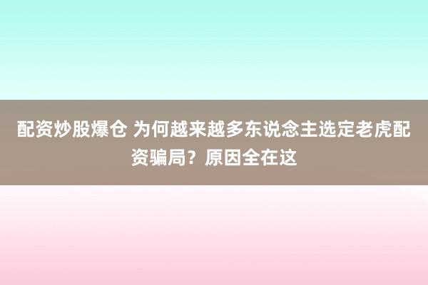 配资炒股爆仓 为何越来越多东说念主选定老虎配资骗局？原因全在这
