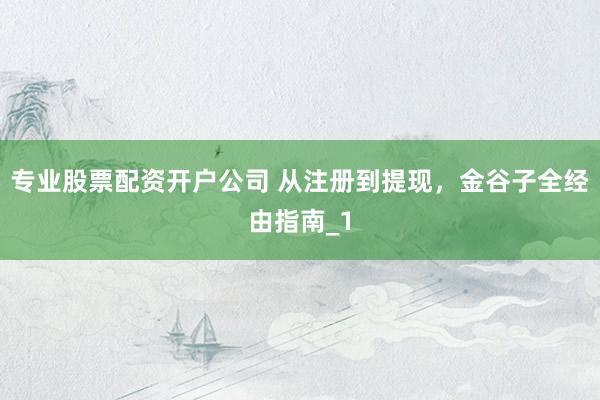 专业股票配资开户公司 从注册到提现，金谷子全经由指南_1