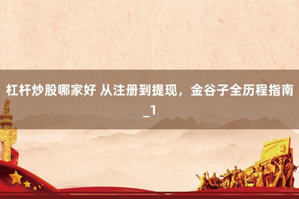 杠杆炒股哪家好 从注册到提现，金谷子全历程指南_1