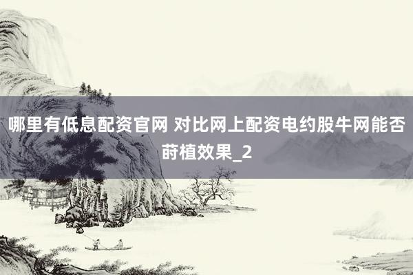 哪里有低息配资官网 对比网上配资电约股牛网能否莳植效果_2