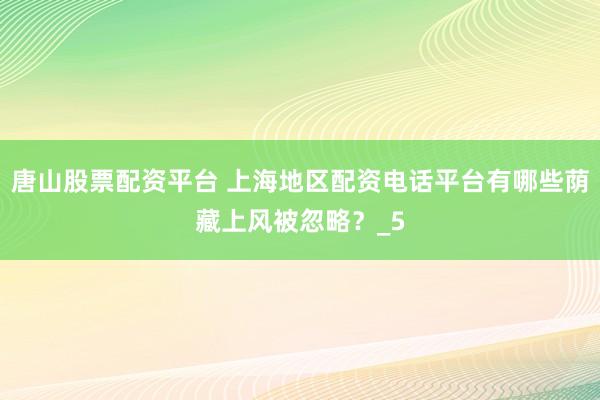 唐山股票配资平台 上海地区配资电话平台有哪些荫藏上风被忽略？_5