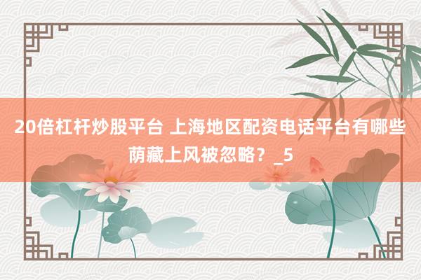 20倍杠杆炒股平台 上海地区配资电话平台有哪些荫藏上风被忽略？_5