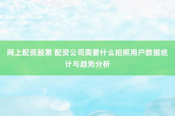 网上配资股票 配资公司需要什么拍照用户数据统计与趋势分析