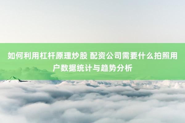 如何利用杠杆原理炒股 配资公司需要什么拍照用户数据统计与趋势分析