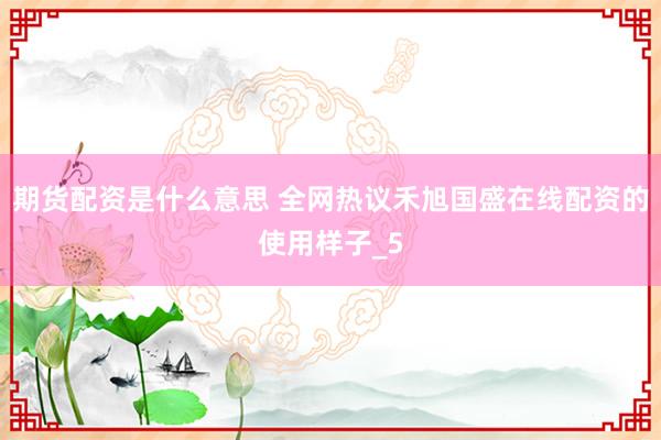 期货配资是什么意思 全网热议禾旭国盛在线配资的使用样子_5