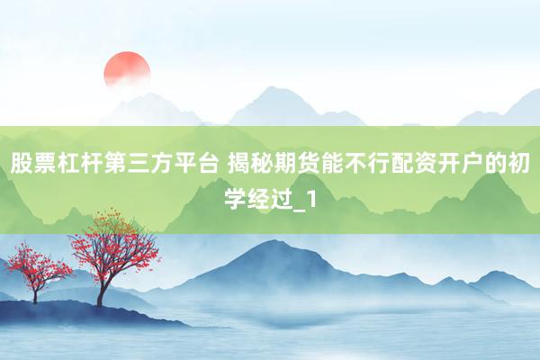 股票杠杆第三方平台 揭秘期货能不行配资开户的初学经过_1